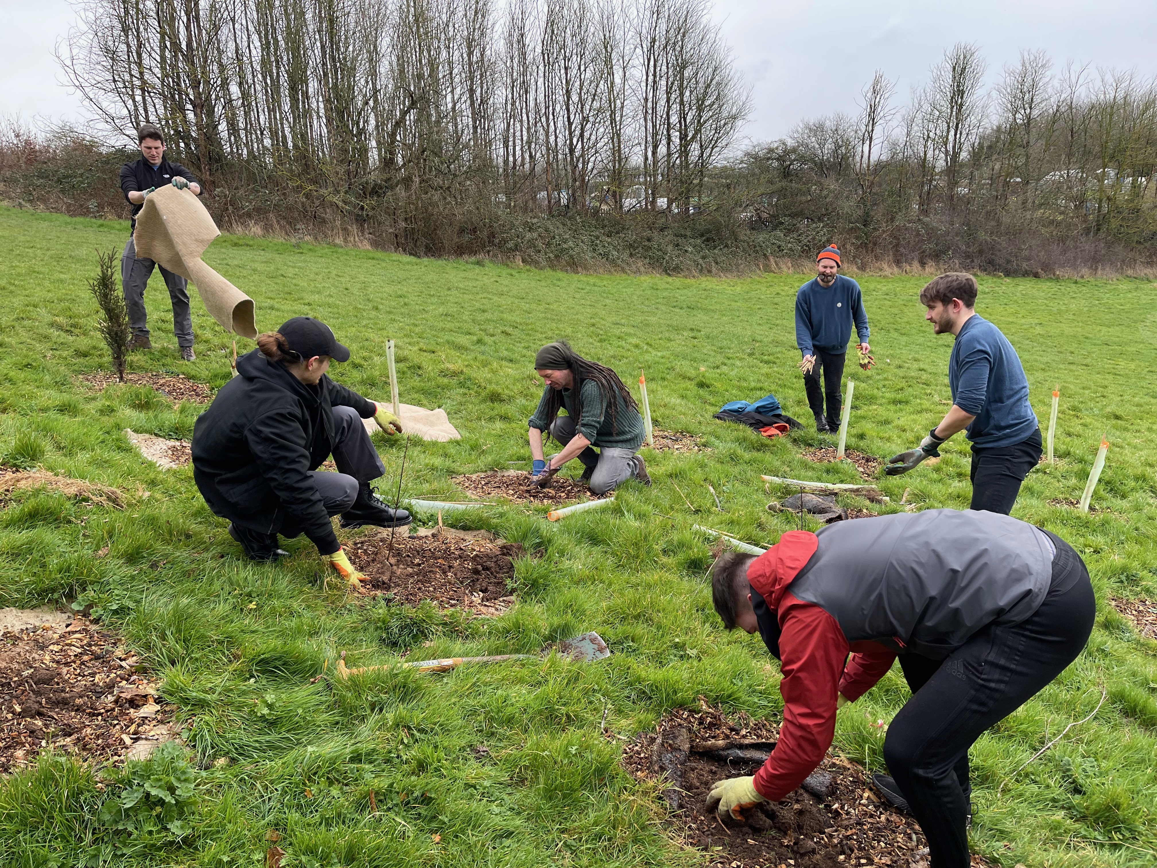 Members of the Gravitywell planting trees