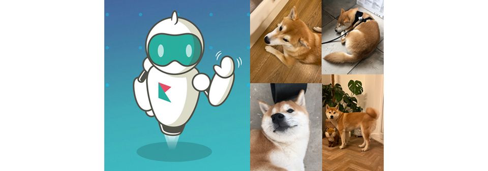found robot and pet dog collage