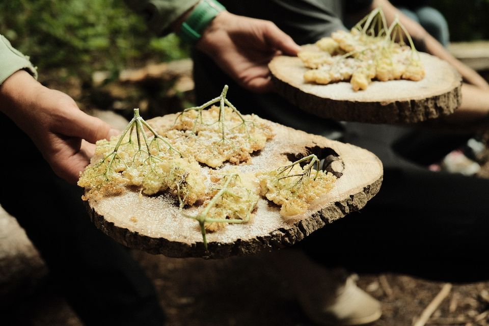 Deep-fried elderflower