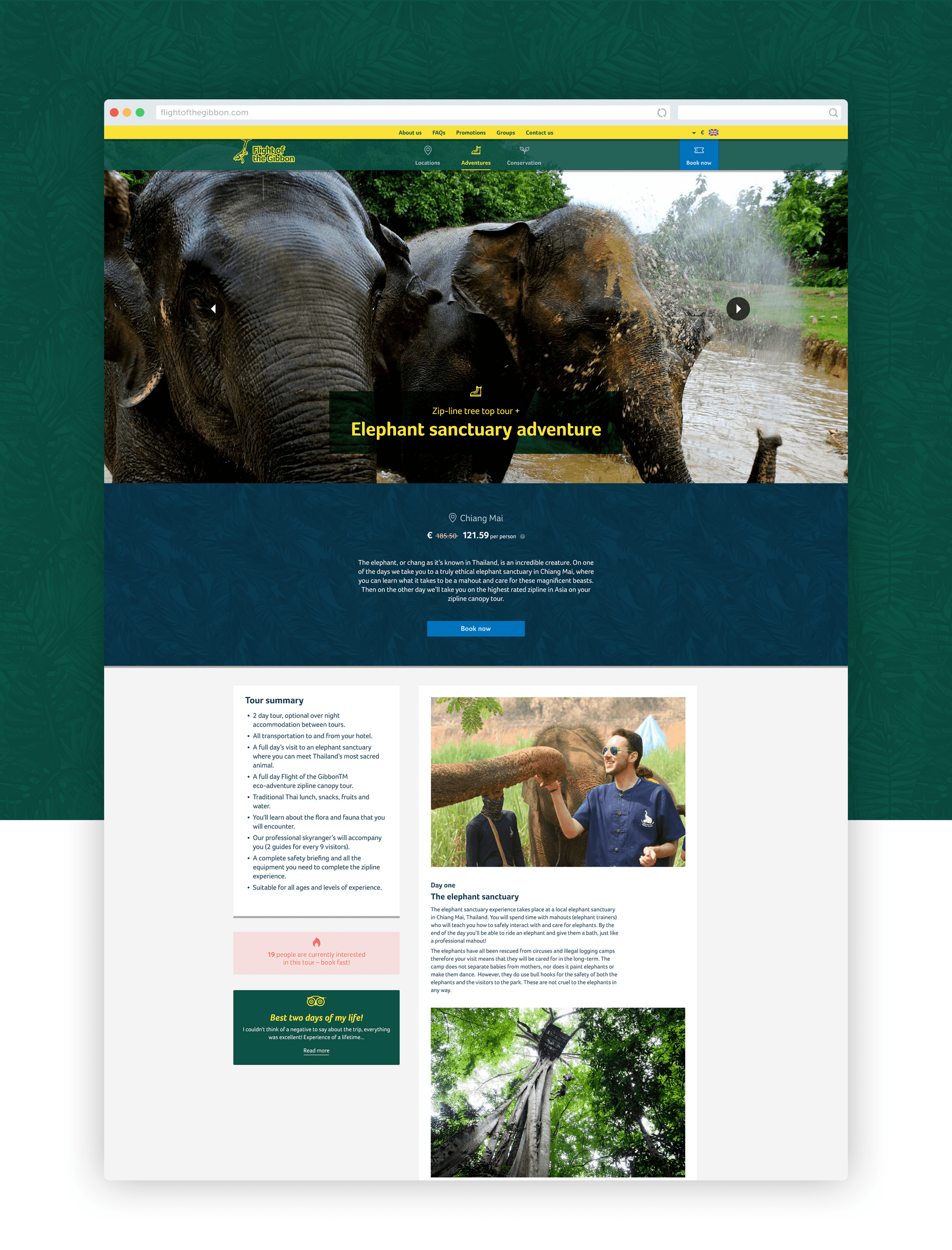 Flight of the Gibbon website design