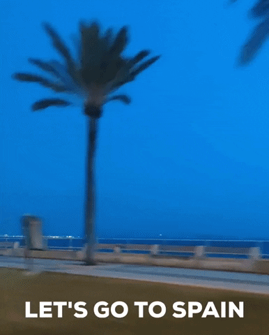 Let's go to Spain GIF