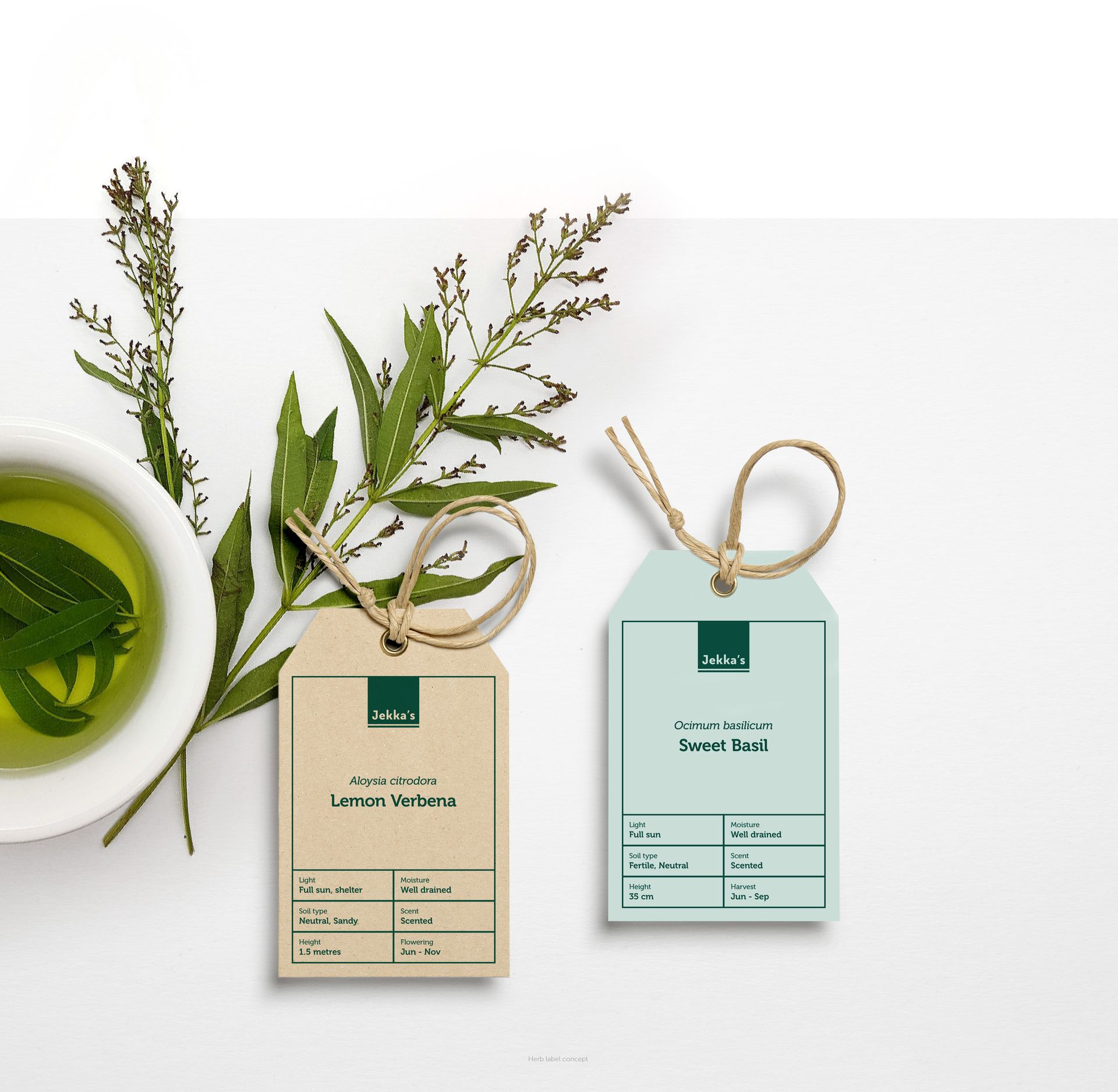 Jekka's herb label designs