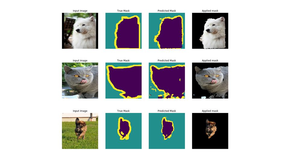 Image segmentation model in action