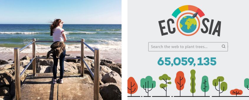 Dulcie and Ecosia